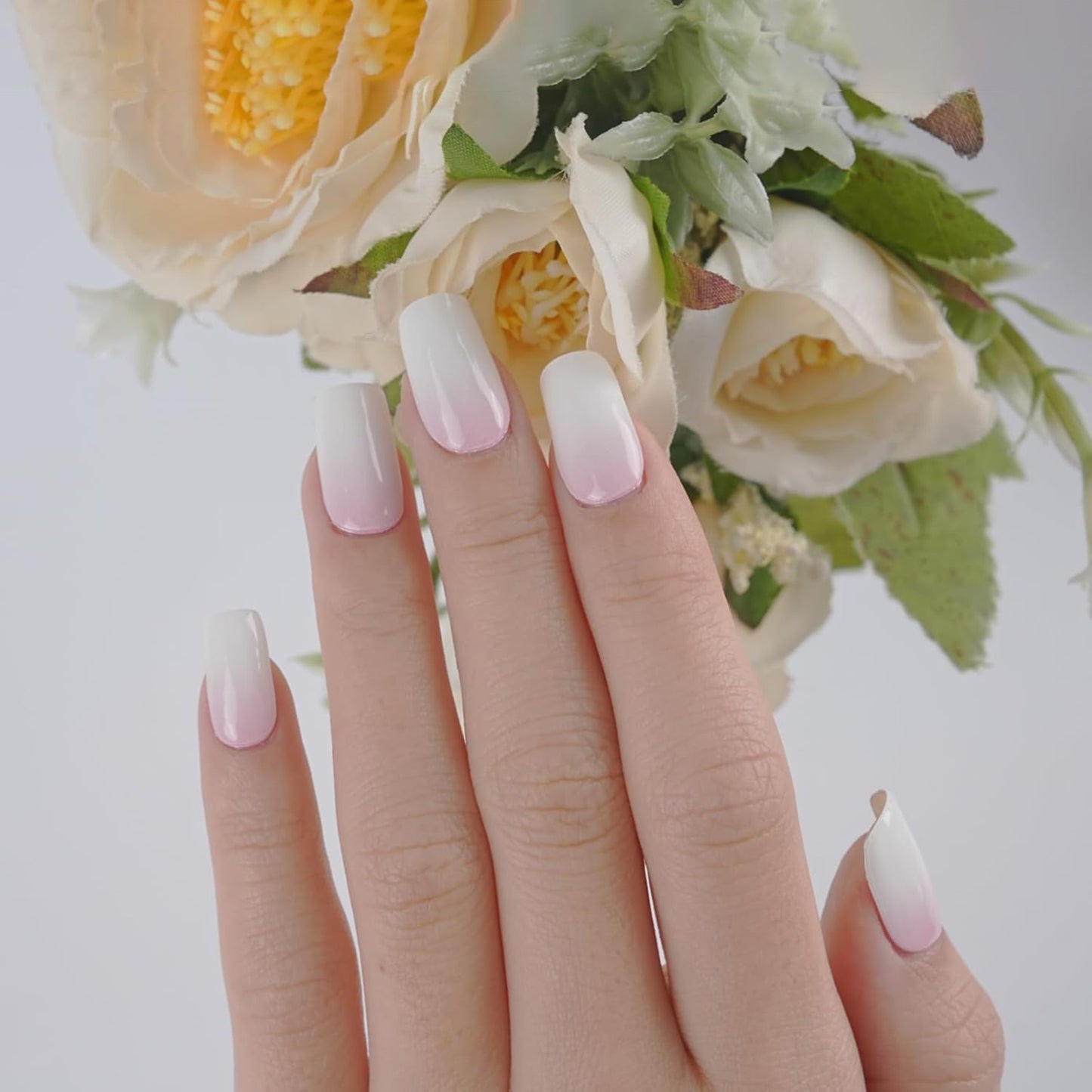 Semi Cured Nail-cameo-pink-ombre